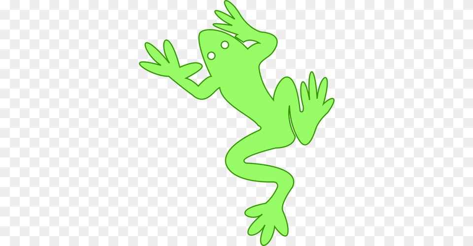 Frog Outline Vector, Animal, Lizard, Reptile, Gecko Free Png