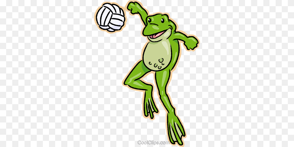 Frog Playing Volleyball Royalty Vector Clip Art Illustration, Baby, Person, Amphibian, Animal Free Png