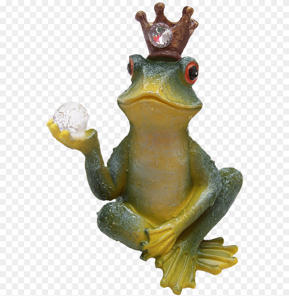 Frog Prince, Amphibian, Animal, Wildlife, Tree Frog Free Png