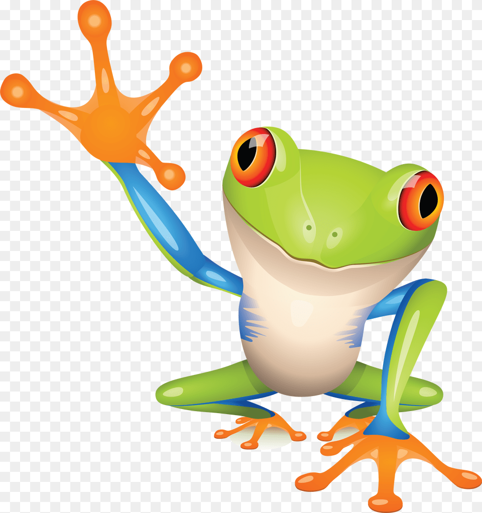 Frog Red Eyed Tree Frog Cartoon, Amphibian, Animal, Wildlife, Tree Frog Free Transparent Png
