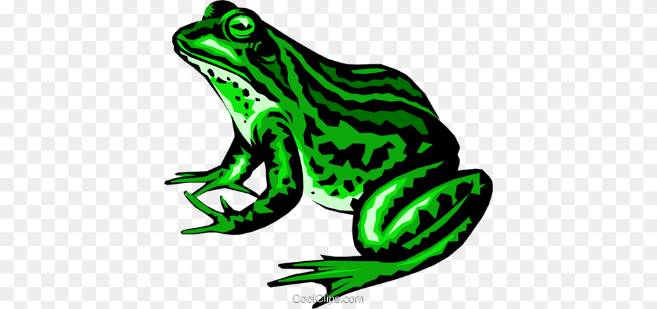 Frog Royalty Vector Clip Art Illustration, Amphibian, Animal, Wildlife Free Transparent Png