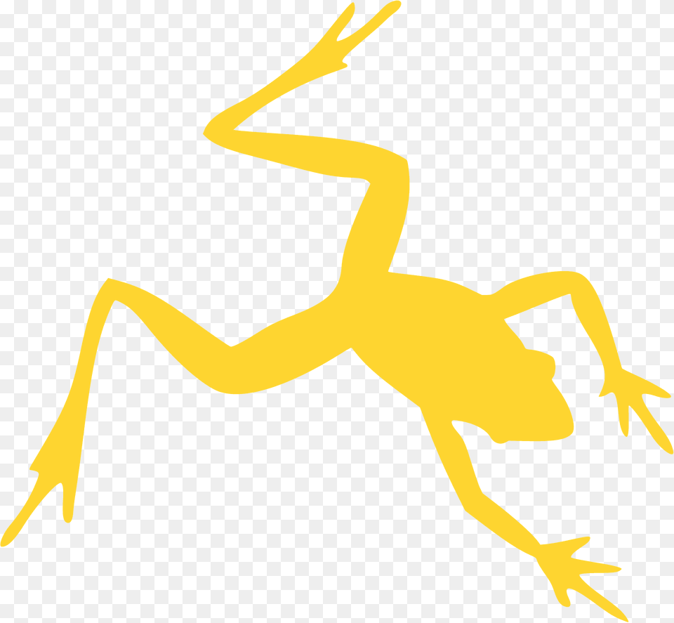 Frog Silhouette, Amphibian, Animal, Wildlife, Fish Free Png Download