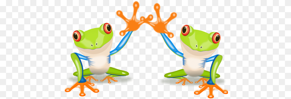 Frog Sonny 555px Clipart Costa Rica, Amphibian, Animal, Wildlife, Tree Frog Free Transparent Png