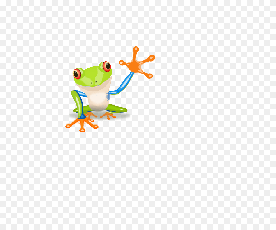 Frog Stock Clipart, Amphibian, Animal, Wildlife, Tree Frog Free Png