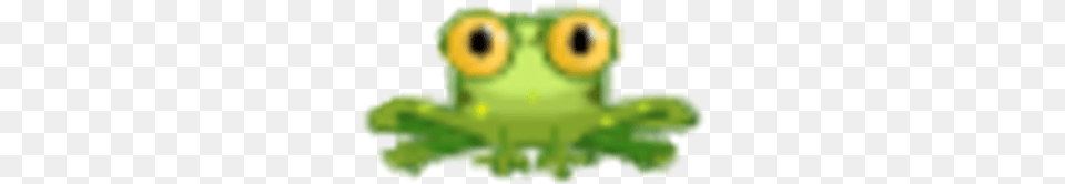 Frog Toad, Amphibian, Animal, Wildlife Free Transparent Png