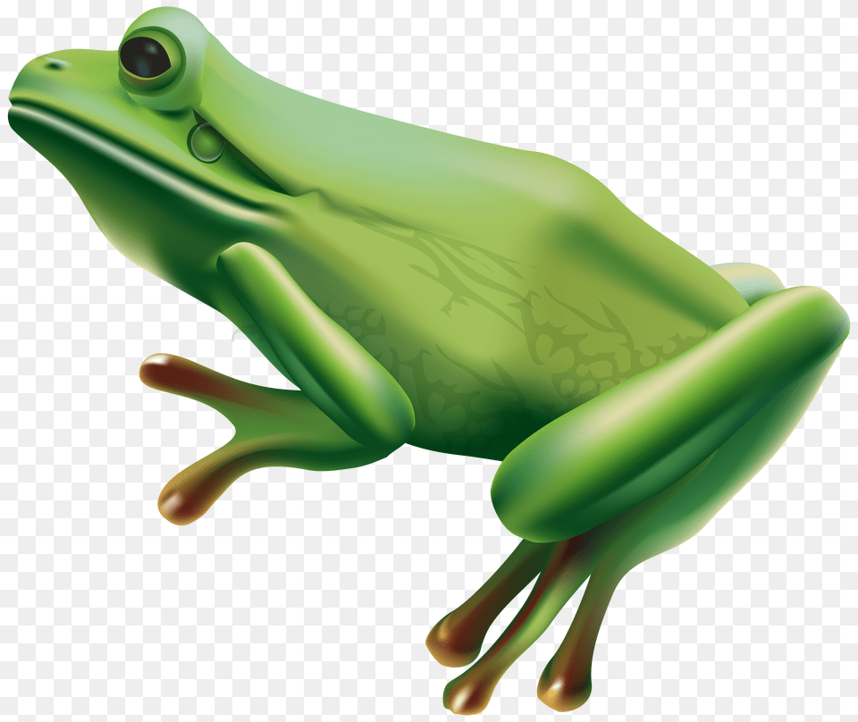 Frog Transparent Clip Art Free Png