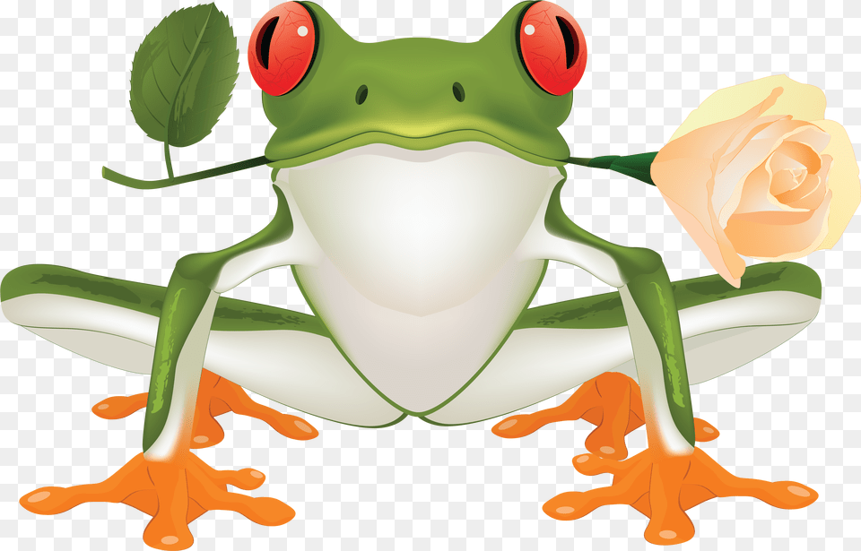 Frog Tree Frog Clip Art, Amphibian, Animal, Wildlife, Baby Free Png