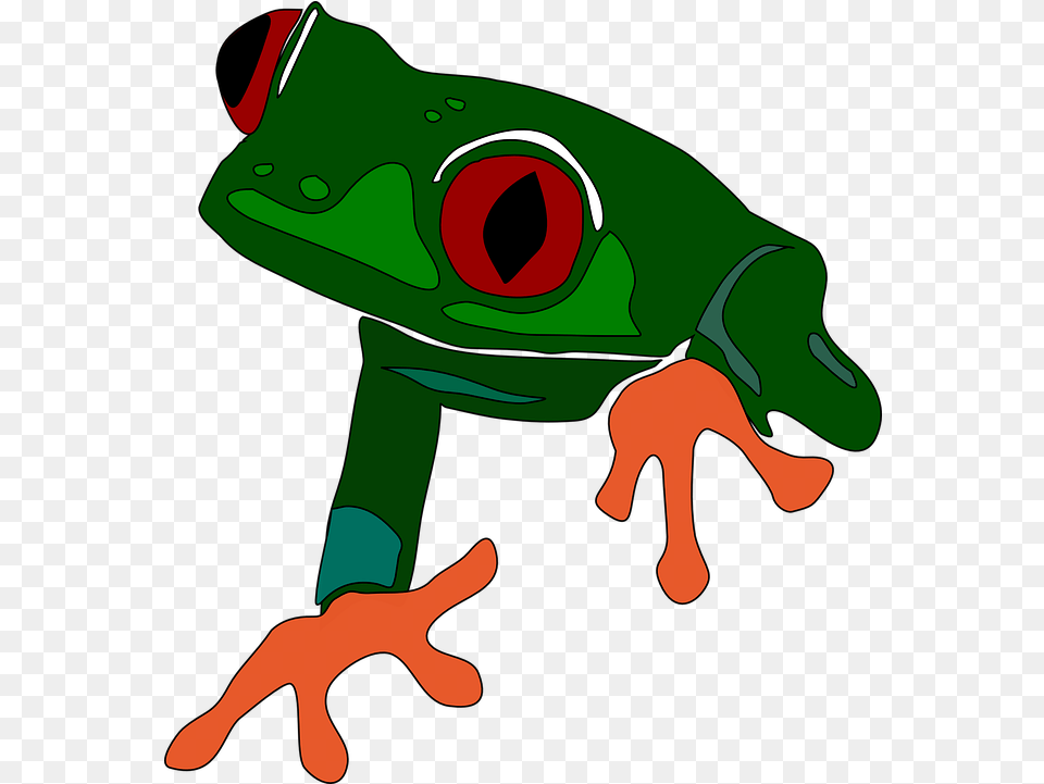 Frog Tree Tropical Red Vector Graphic On Pixabay Tree Frog Clipart Amphibian, Animal, Wildlife, Tree Frog Free Transparent Png
