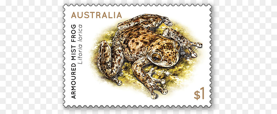 Frogs 2018 Australian Stamp Set Release Date, Animal, Lizard, Reptile, Postage Stamp Png