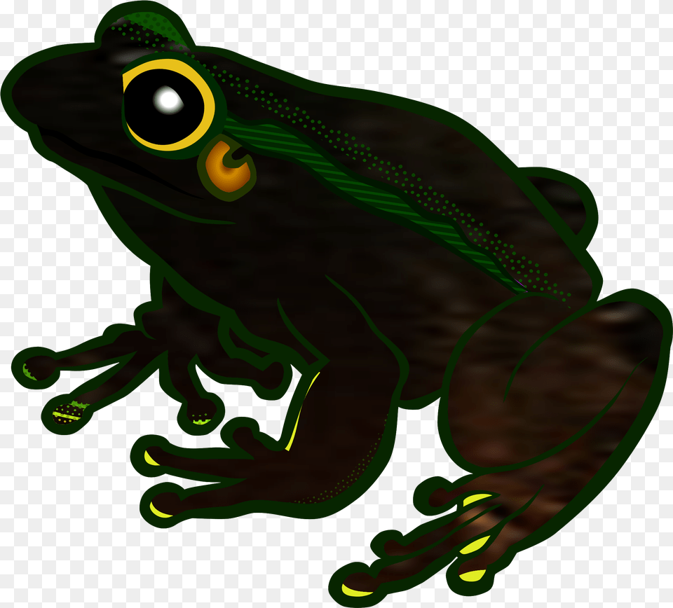 Frogs Clipart Clear Background Frog Clip Art, Amphibian, Animal, Wildlife Free Png Download