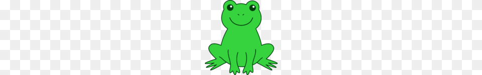 Frogs Clipart Clip Art Frog, Amphibian, Animal, Wildlife, Bear Png