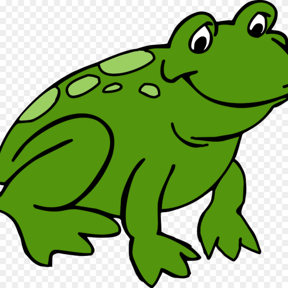 Frogs Clipart M Frog Clip Art Drawings And Colorful Images, Amphibian, Animal, Wildlife, Bear Free Png Download