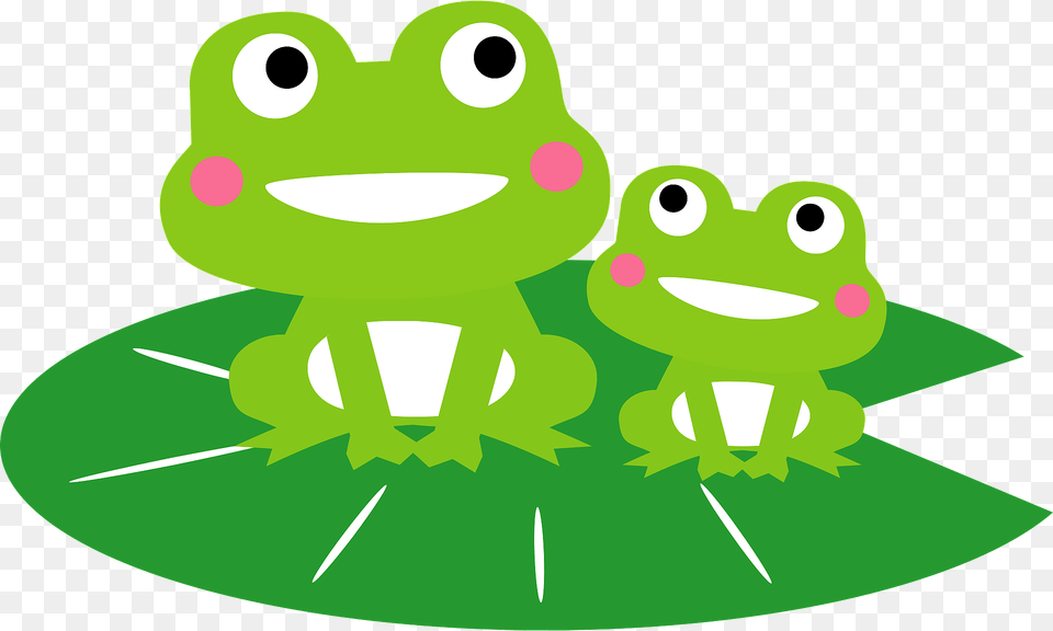 Frogs On Leaf Clipart, Green, Amphibian, Animal, Frog Free Transparent Png