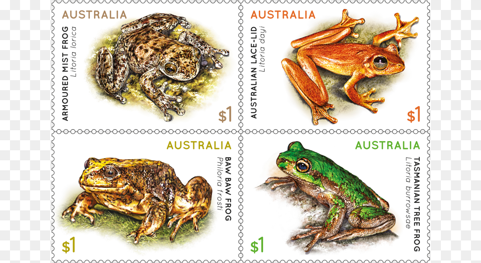 Frogs Stamps Australia, Animal, Lizard, Reptile, Amphibian Png