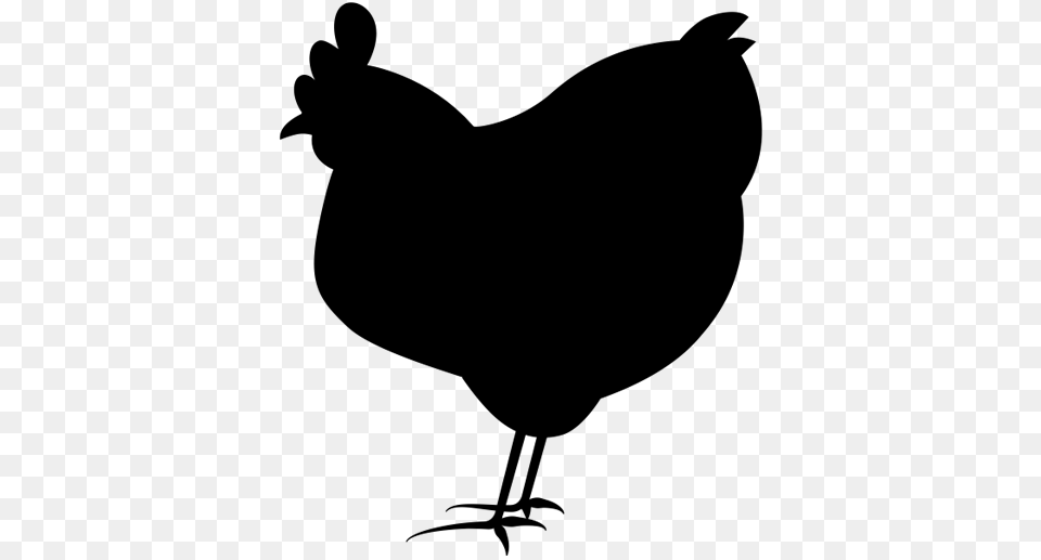 From Hatch To Table Chickens Journey From The Farm To Dallas, White Board, Accessories, Formal Wear, Tie Free Png