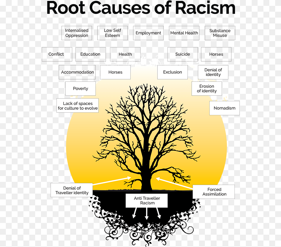 From The 1960s Onwards Many Travellers Like Many Causes Of Racism, Plant, Tree, Oak Png