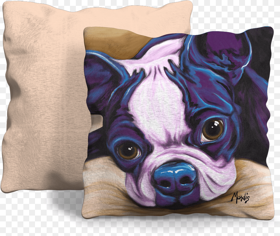 Front And Back Of Pillow Cushion, Home Decor, Pet, Mammal, Animal Png Image