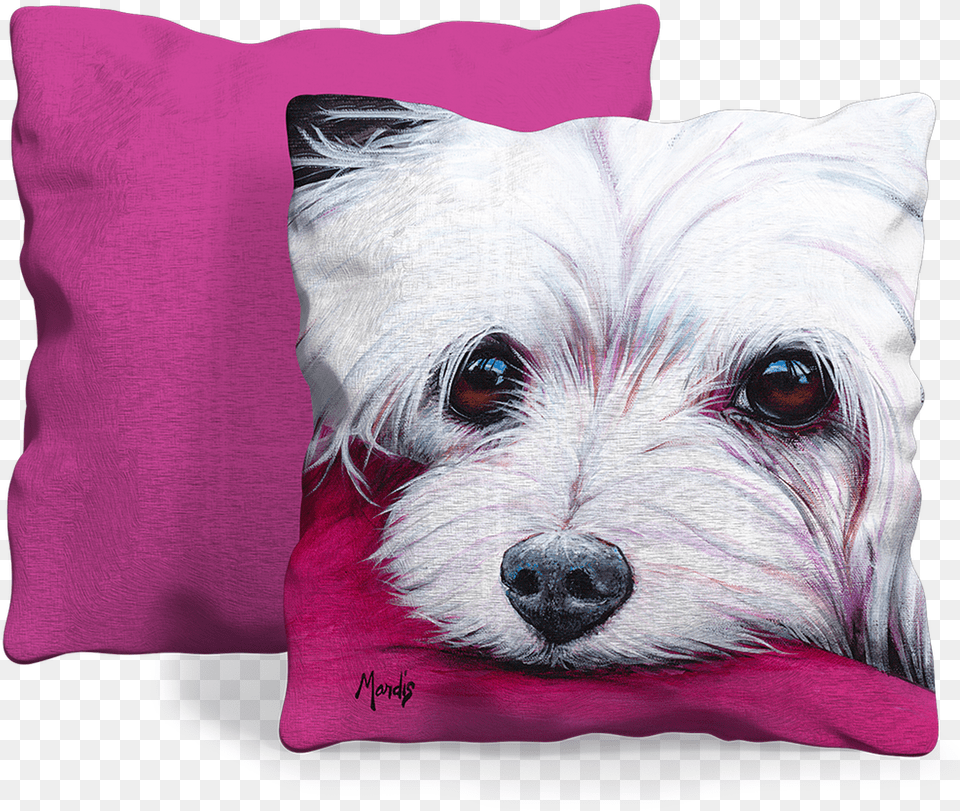 Front And Back Of Pillow Maltese, Cushion, Home Decor, Animal, Canine Free Png
