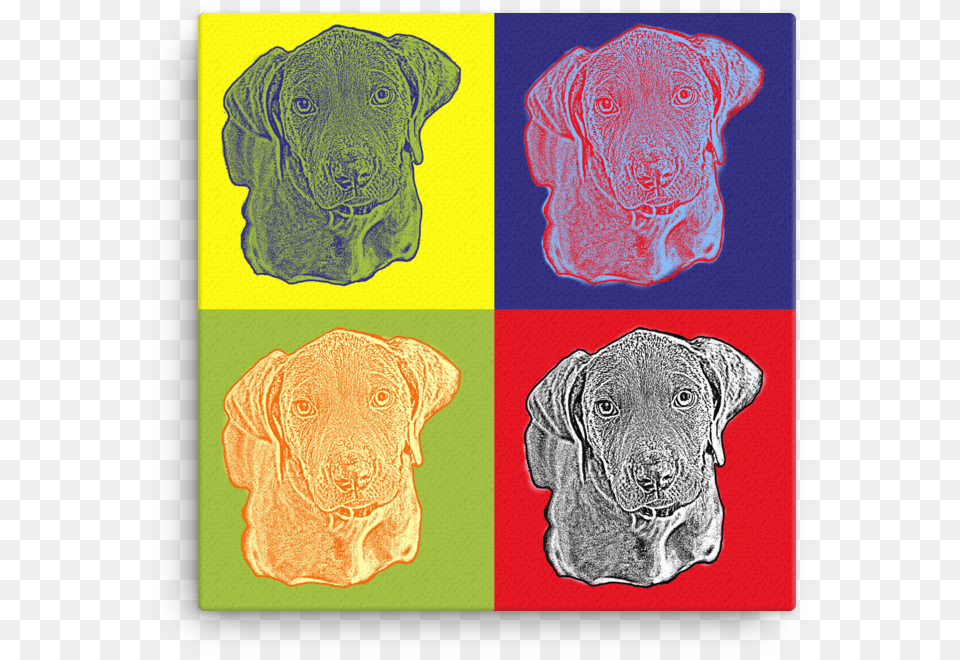 Front View Dog Portrait Pop Art Guard Dog, Animal, Canine, Mammal, Pet Png Image