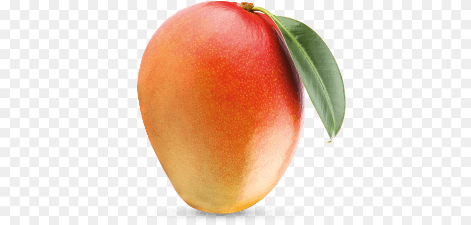 Front View Mango Mango With Invisible Background, Produce, Food, Fruit, Plant Png