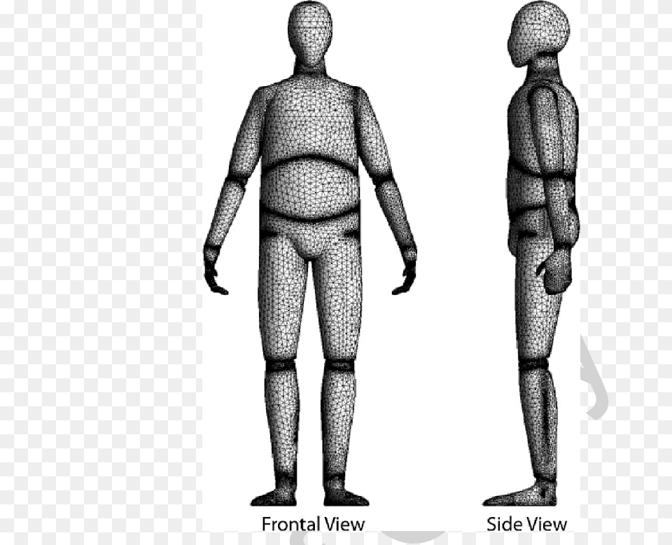 Frontal And Side Views Of The Meshed Human Body Computer Model, Adult, Armor, Male, Man Free Png Download
