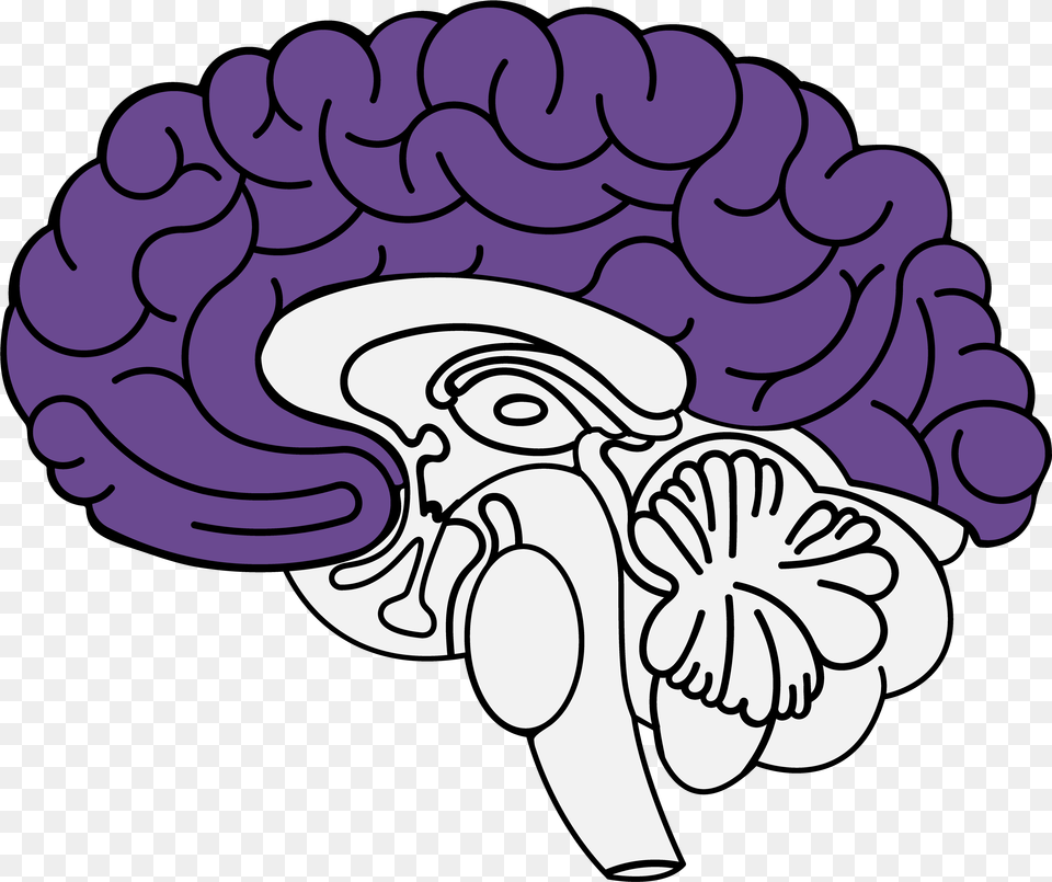 Frontal Lobe Ansiedad Cerebro, Art, Purple, Flower, Plant Png