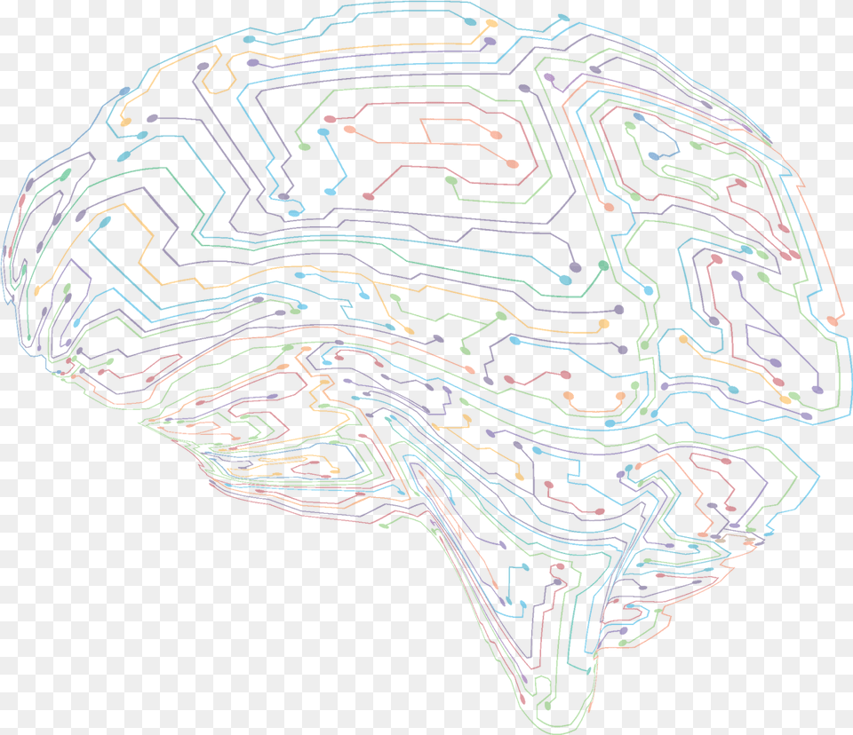 Frontiers In Neural Circuits Sketch, Pattern, Art Free Png