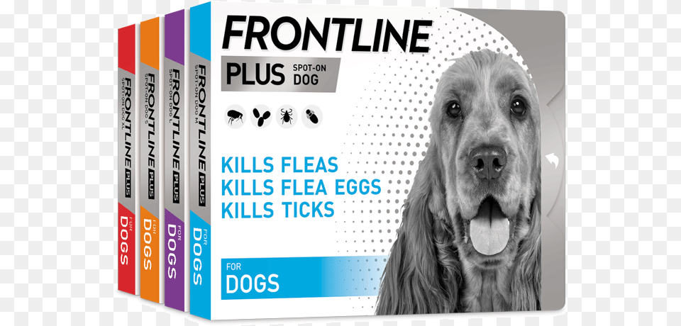 Frontline Plus Dog, Animal, Canine, Mammal, Pet Free Png