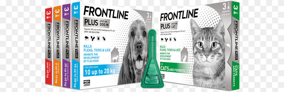 Frontline Spot On Flea Treatment For Cats And Dogs Frontline Plus Range, Animal, Canine, Dog, Mammal Free Png Download