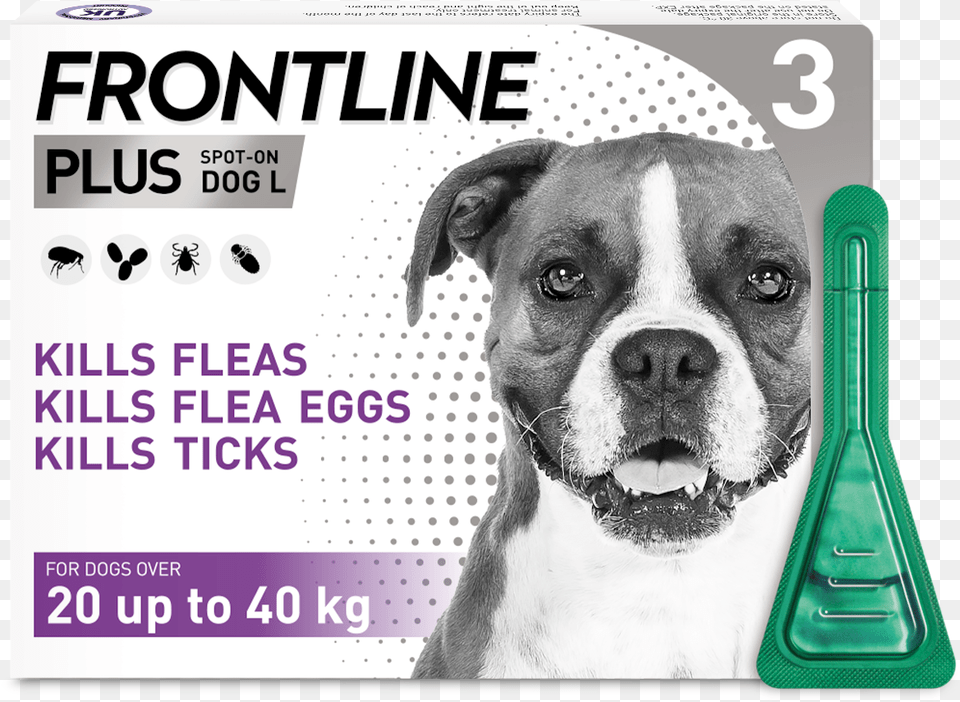 Frontline Spot On Works, Animal, Canine, Dog, Mammal Free Png Download