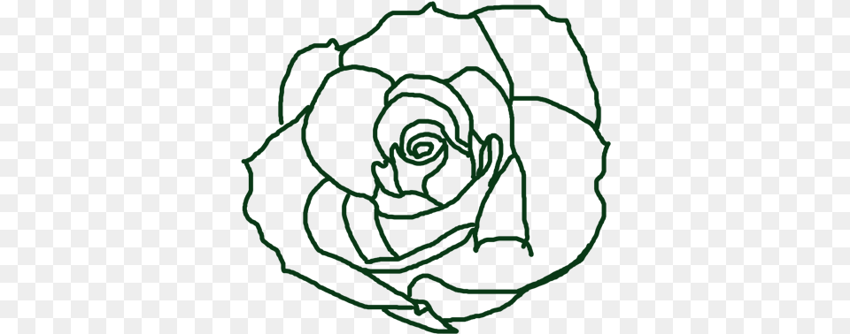 Frontrose, Flower, Plant, Rose, Spiral Free Png Download