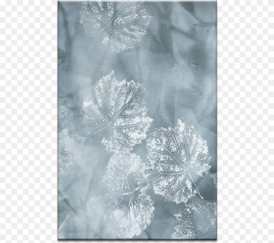 Frost, Outdoors, Weather, Ice, Nature Free Transparent Png