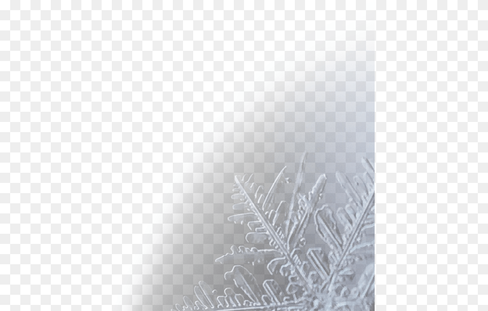 Frost, Nature, Outdoors, Ice, Snow Free Png Download