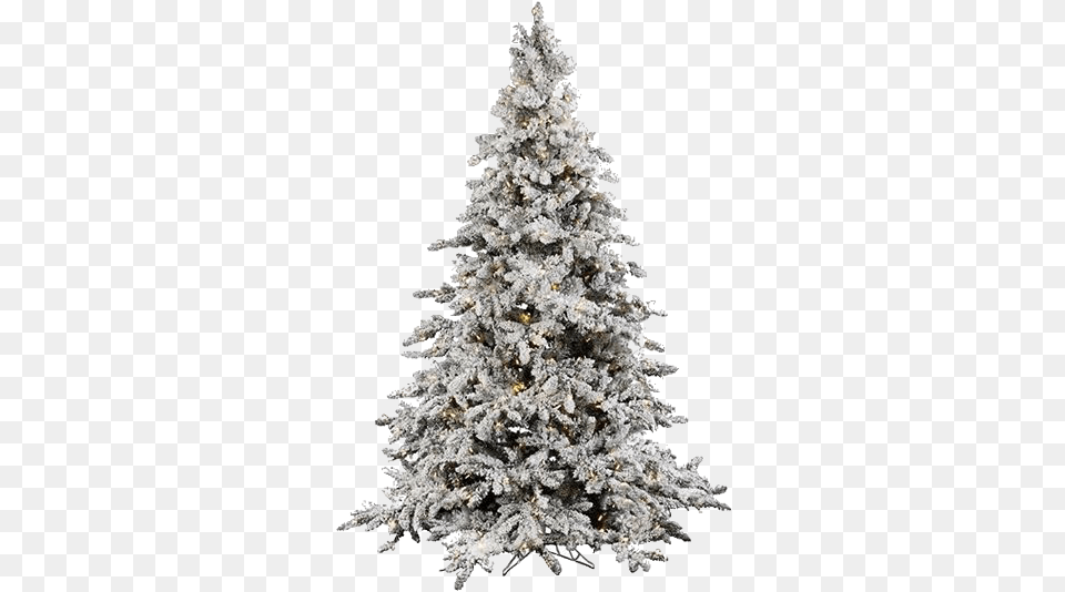 Frost Moodboard Niche Aesthetic Christmas Ft Flocked Christmas Tree, Plant, Christmas Decorations, Festival, Chandelier Free Transparent Png