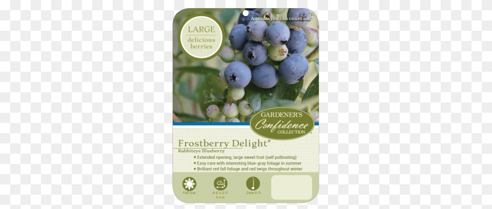 Frostberry Delight Fresh, Berry, Blueberry, Food, Fruit Png Image