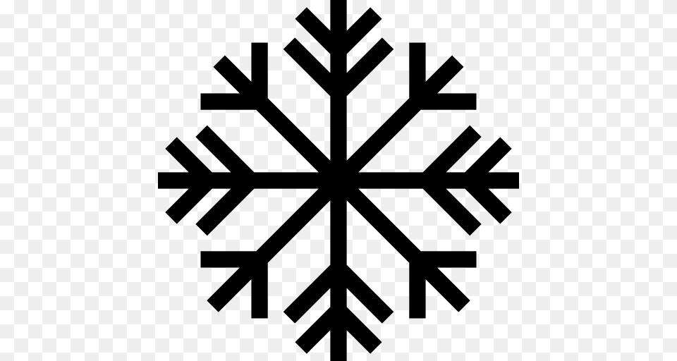 Frozen Holiday Snowflake Winter Frost Snow Freezing Cold, Leaf, Nature, Outdoors, Plant Free Transparent Png