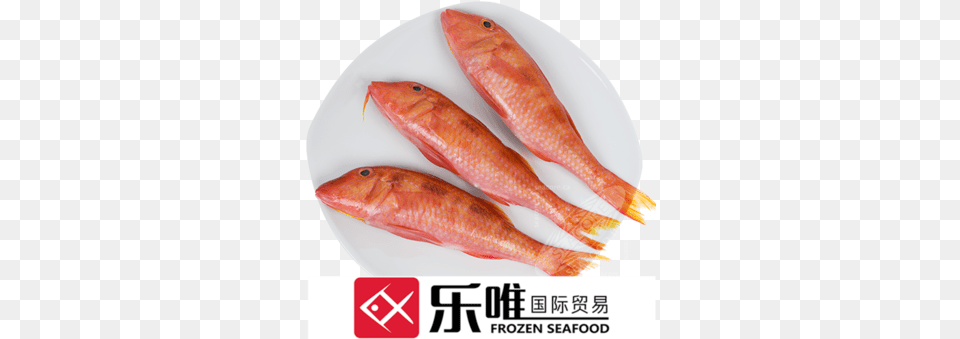 Frozen Mullet Fish Price Coral Reef Fish, Animal, Food, Mullet Fish, Sea Life Free Transparent Png