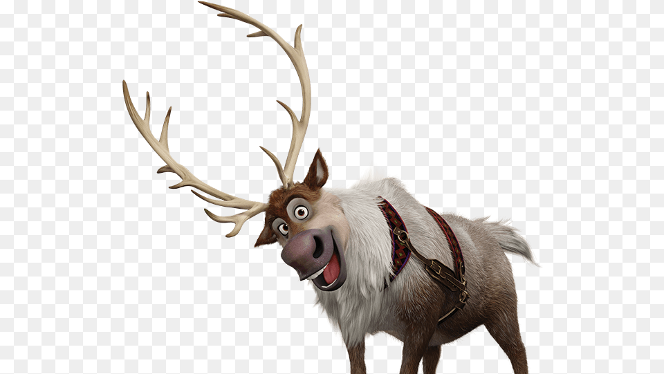 Frozen Sven Sven Frozen, Animal, Deer, Mammal, Wildlife Png Image