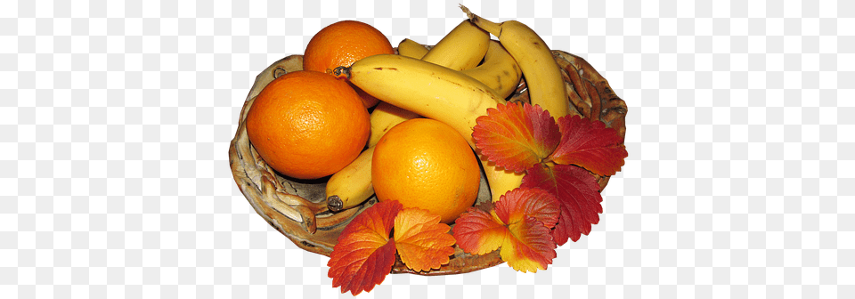 Fruit, Banana, Citrus Fruit, Food, Plant Png