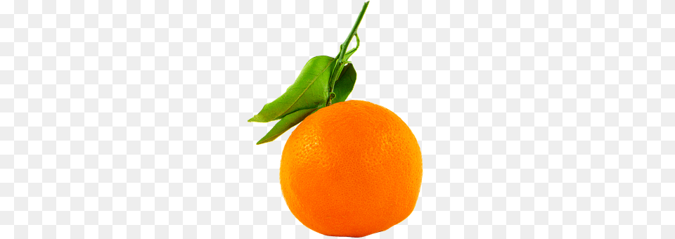 Fruit Citrus Fruit, Food, Grapefruit, Orange Free Transparent Png