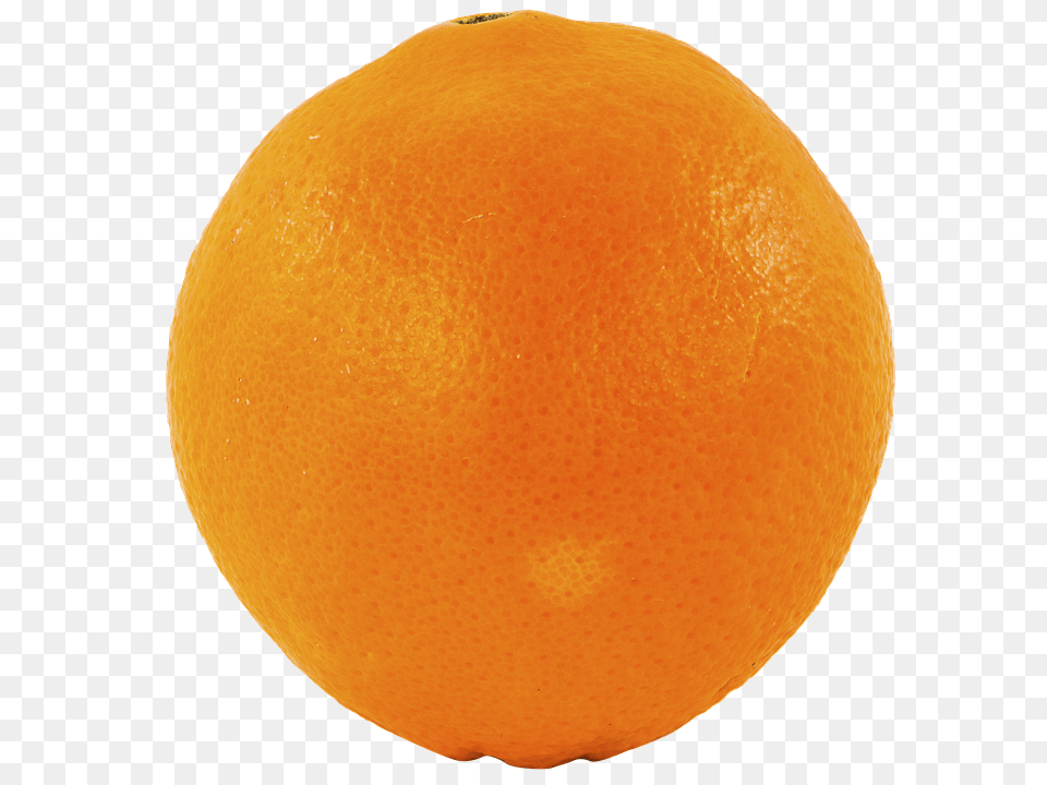 Fruit Citrus Fruit, Food, Grapefruit, Orange Png