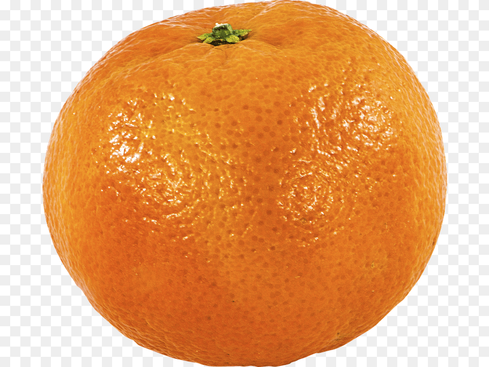 Fruit Citrus Fruit, Food, Grapefruit, Orange Free Transparent Png