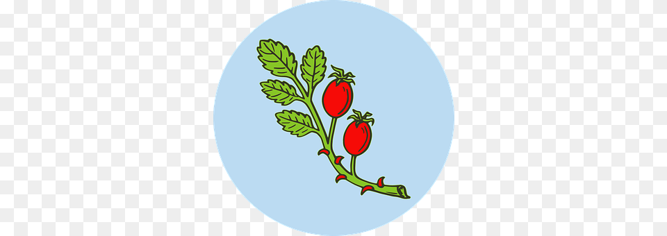 Fruit Leaf, Plant, Food, Produce Free Png