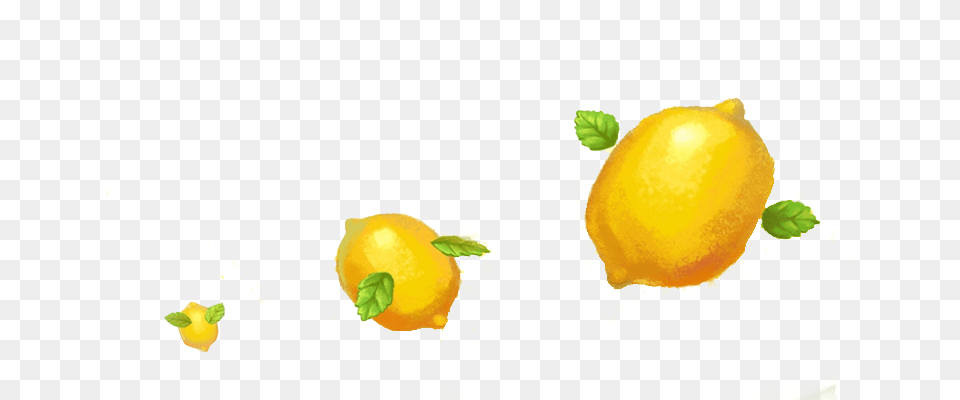 Fruit, Citrus Fruit, Food, Lemon, Plant Png Image