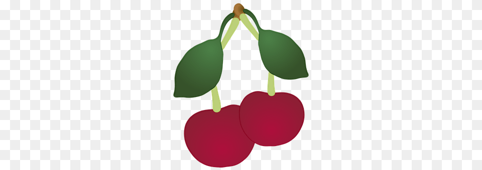 Fruit Cherry, Food, Plant, Produce Png