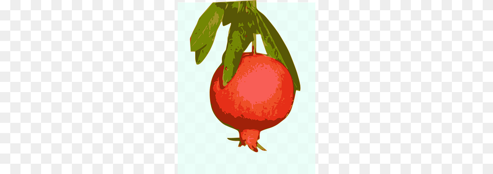 Fruit Food, Plant, Produce, Ketchup Png