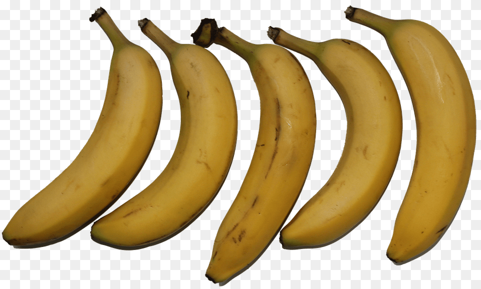 Fruit Banana, Food, Plant, Produce Free Png