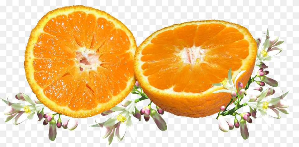 Fruit Citrus Fruit, Food, Grapefruit, Orange Png Image