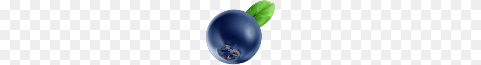 Fruit, Berry, Blueberry, Food, Plant Png