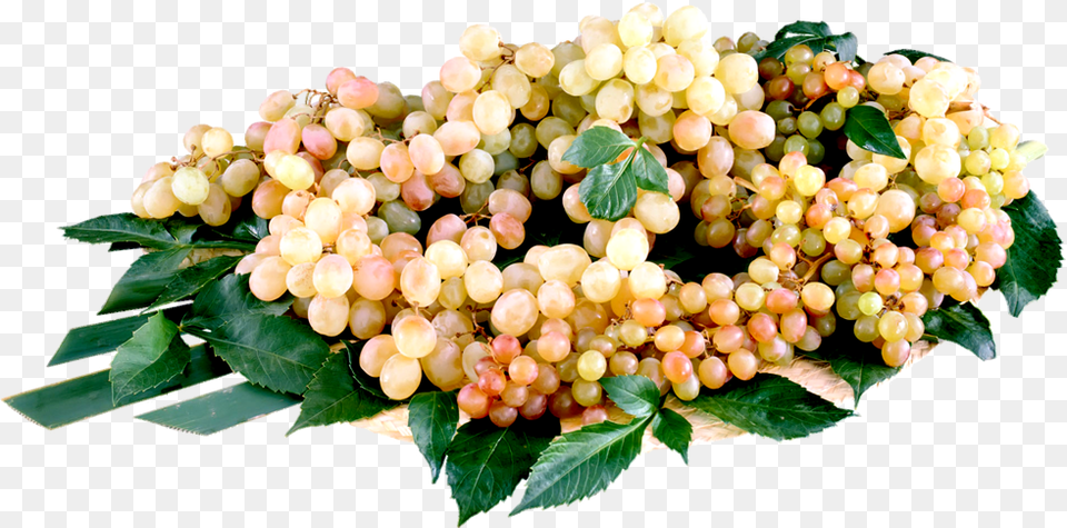 Fruit, Food, Grapes, Plant, Produce Free Transparent Png